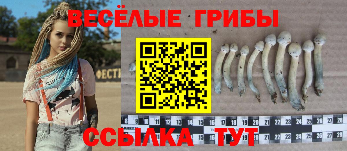 Дюртюли  Псилоцибиновые грибы ЛСД  Вход с VPN 