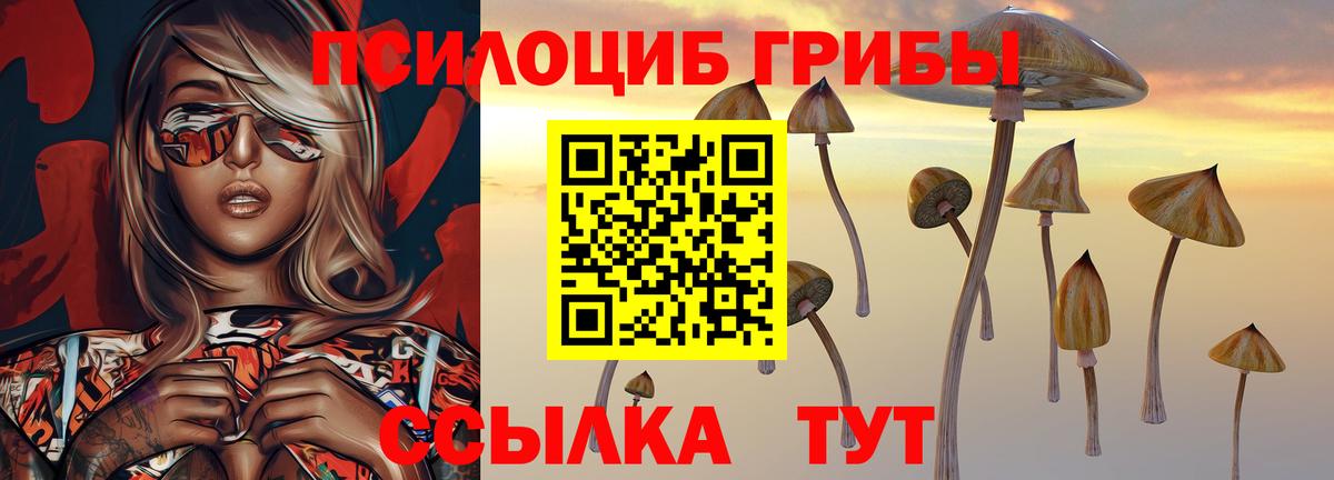 Псилоцибиновые грибы Psilocybine cubensis Дюртюли
